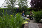 De grillmasters